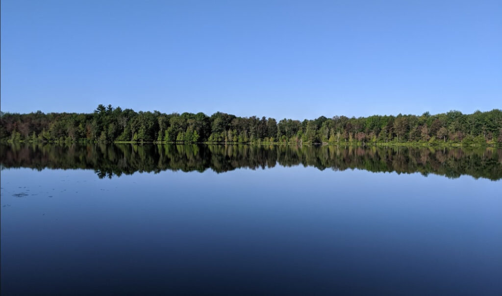 cielo bosque lago