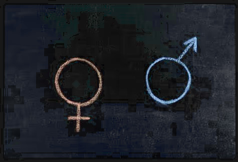 masculino y femenino signos pizarra
